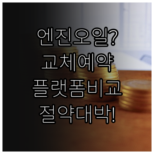 엔진오일 교체 예약 플랫폼 비교와 비..