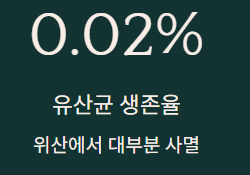 낙산균 효능과 부작용