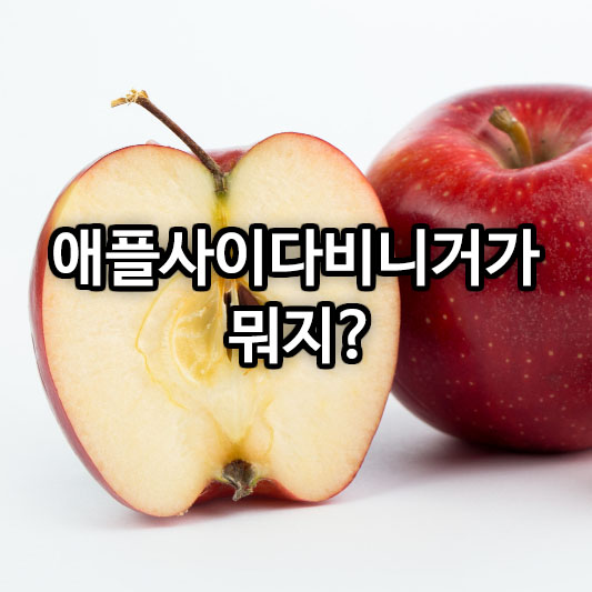 애플사이다비니거가 뭐지?