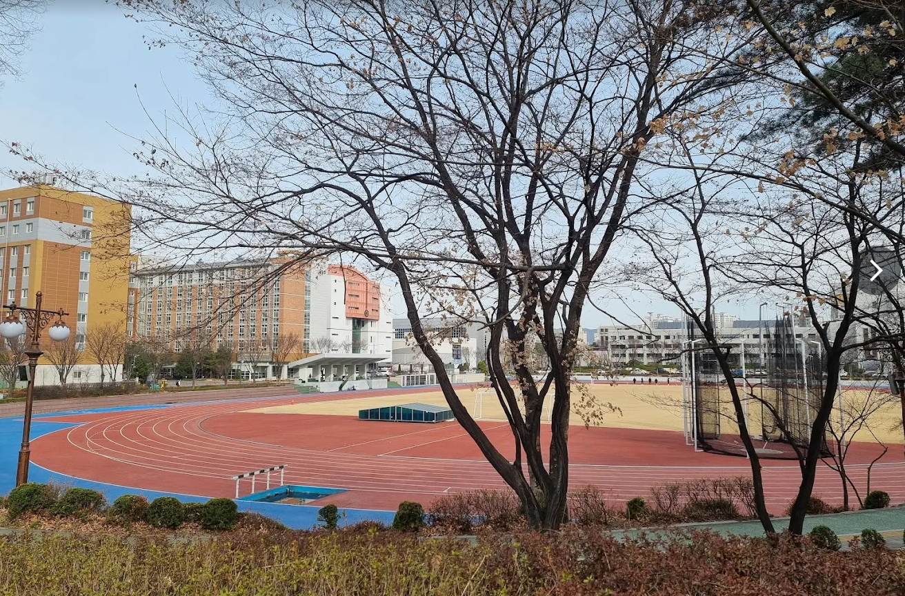 대한민국 체육학과 대학교 이미지