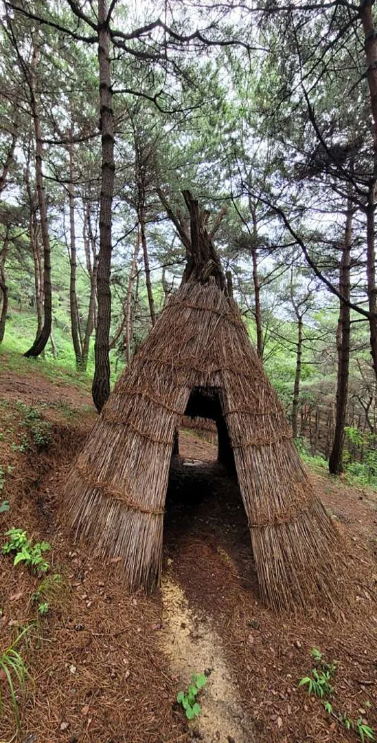 구미에코랜드 산동참생태숲