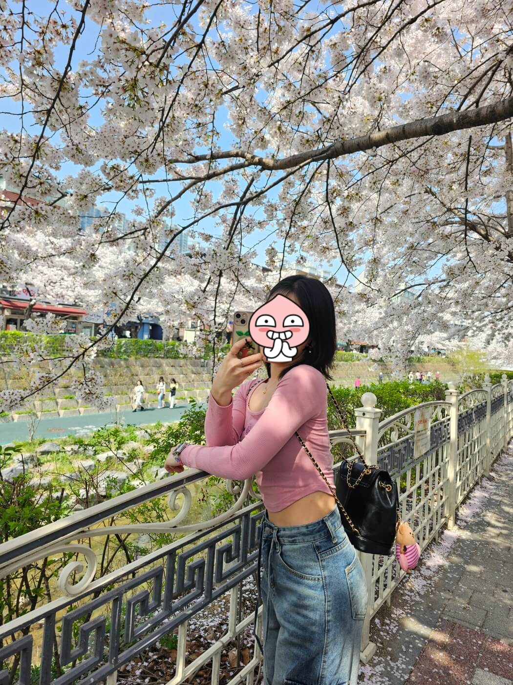 서울시내벚꽃명소 성북천에서 벚꽃놀이