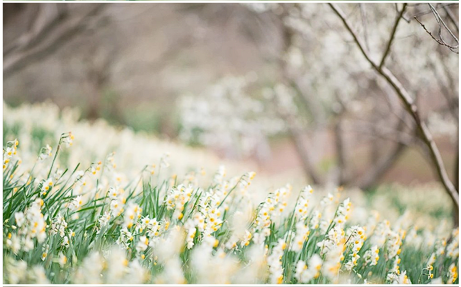 제주도 축제 일정