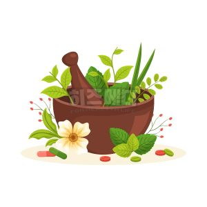 백혈구 수치가 낮은 이유