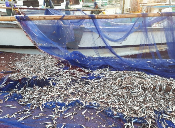 봄에 떠나기 좋은 여행지