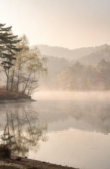 화성시 산책&middot;달리기&middot;트레킹 명소 완벽 가이드