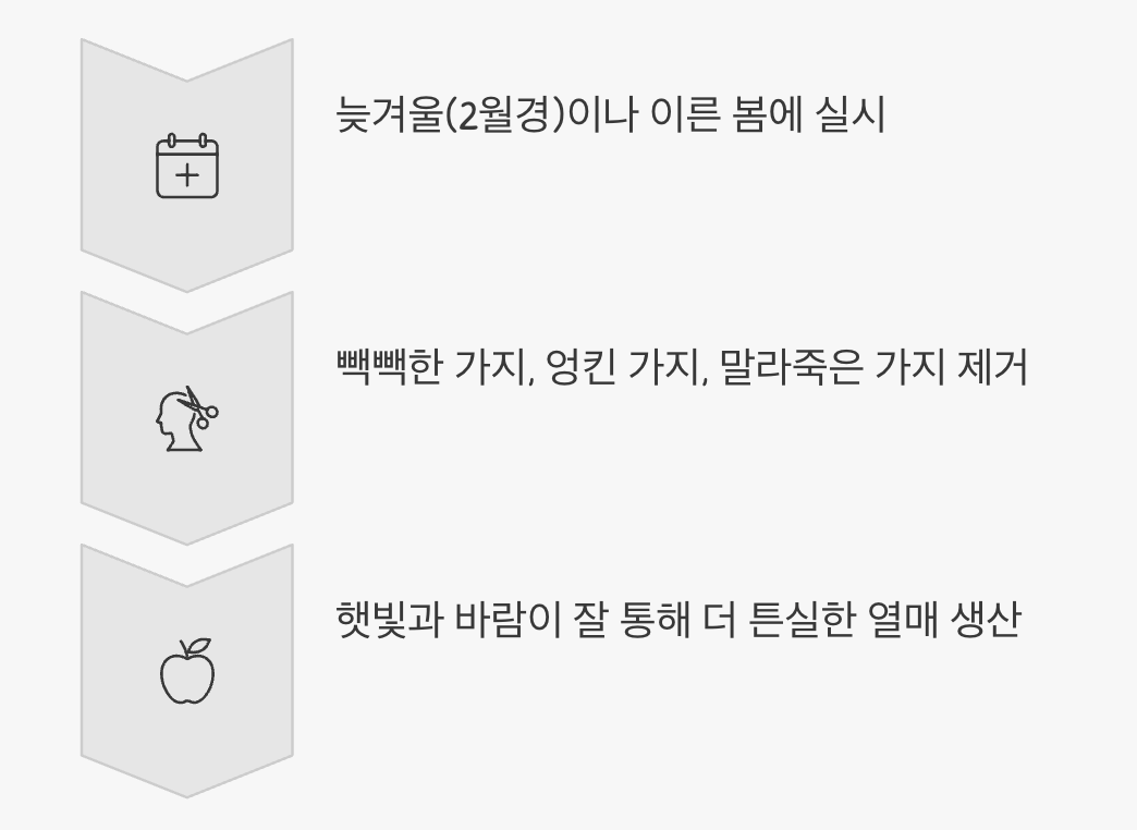 방치하는 것이 미덕? 가지치기