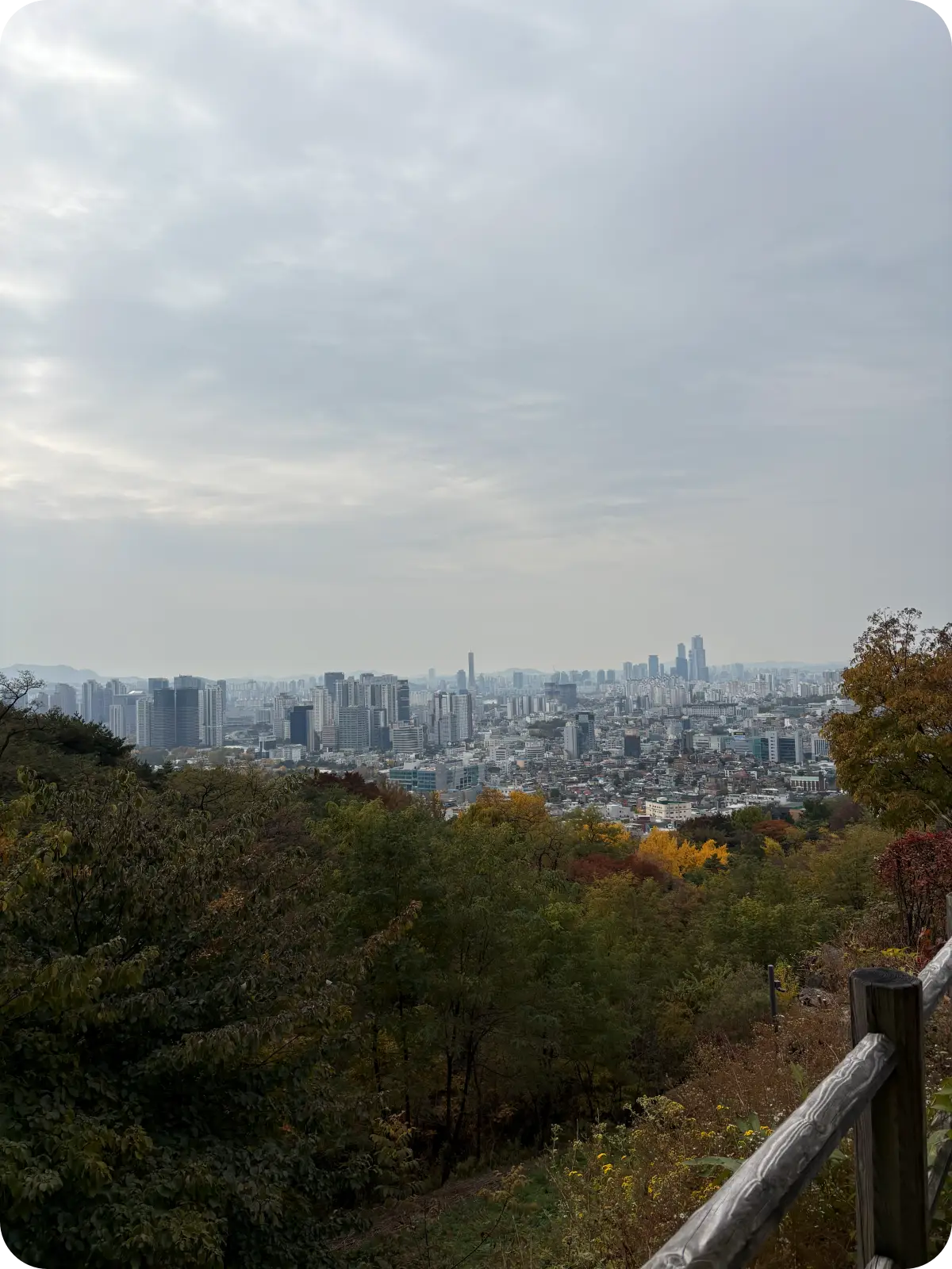 산 중턱에서 바라본 서울 전경