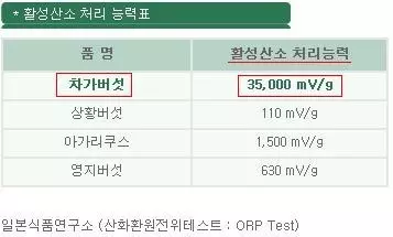 차가버섯 활성탄소 처리능력