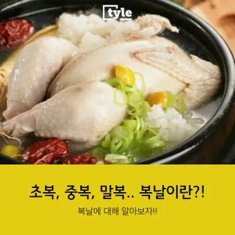2025년 초복 중복 말복 날짜별 건강 관리법 및 보양식 정리_16