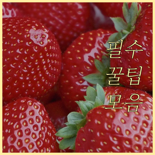 대형폐기물 무단투기 과태료 100만원..