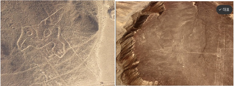 나스카 라인 앵무새 &amp; 벌새 문양