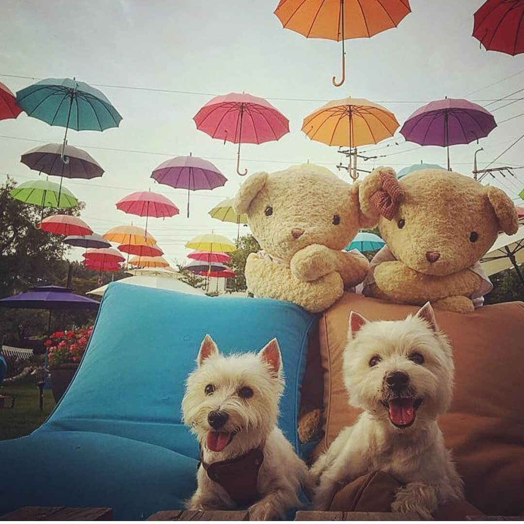 CJ대한통운 택배