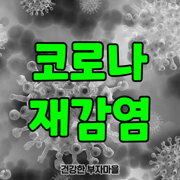 코로나_재감염