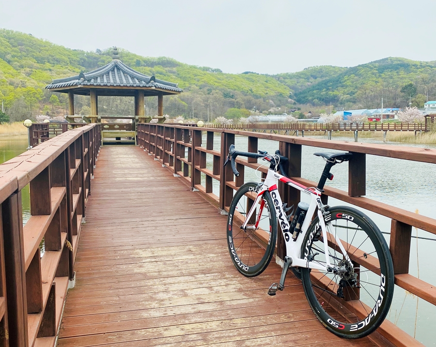 신시모도