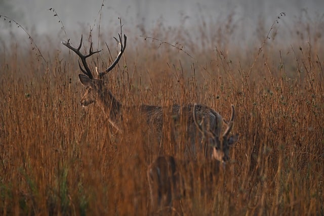 40대 여자선물 추천