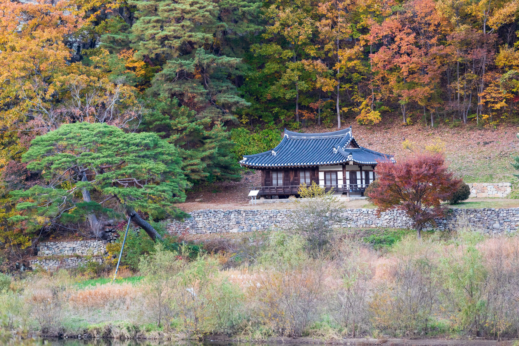 고산정