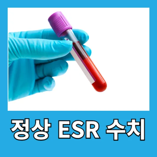 정상 ESR 수치
