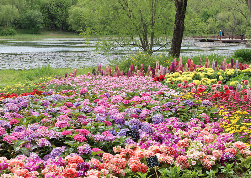 고양 꽃 박람회 가는길&amp;#44; 주차장