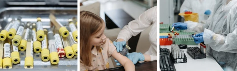 C-펩타이드 검사