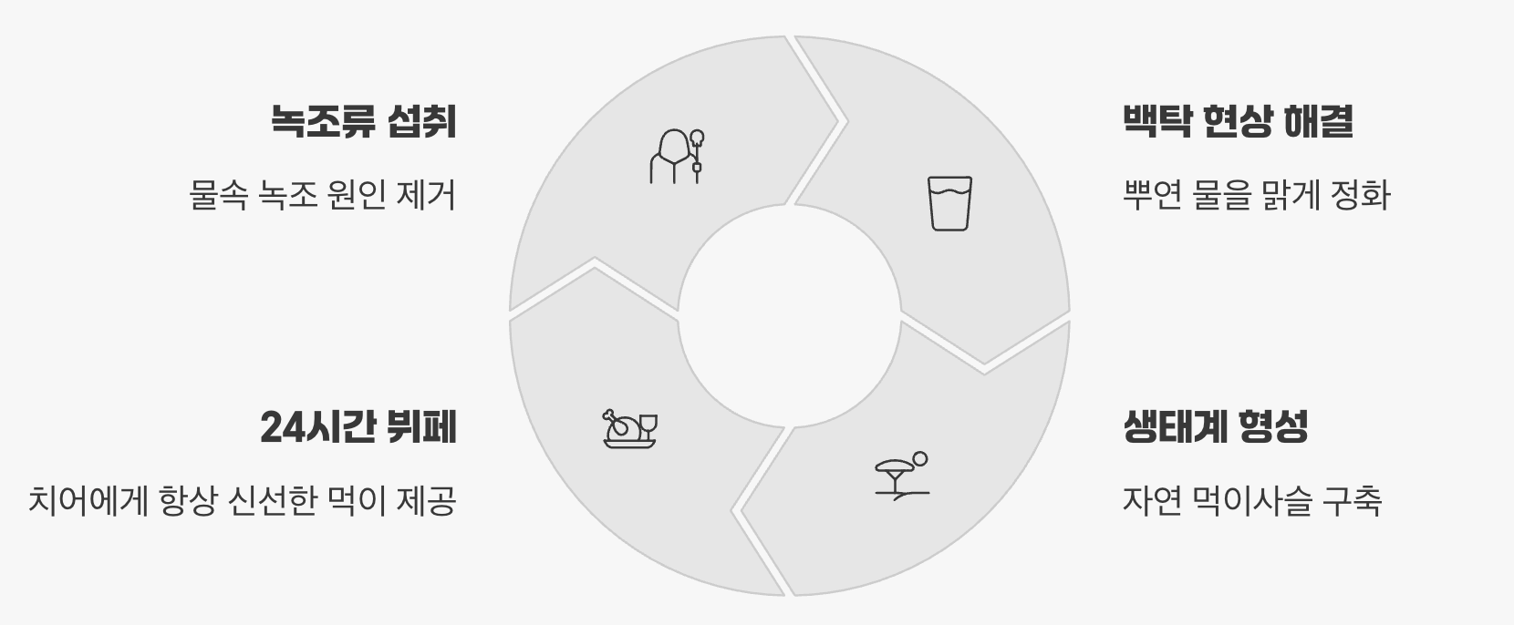 어항 속 작은 청소부, 수질 관리 도우미
