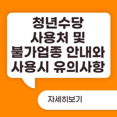 청년수당 사용처 및 불가업종