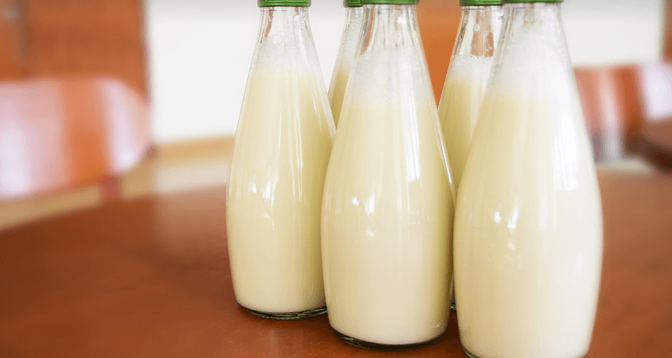 장 건강에 좋은 음식과 관련 된 사진 - 1