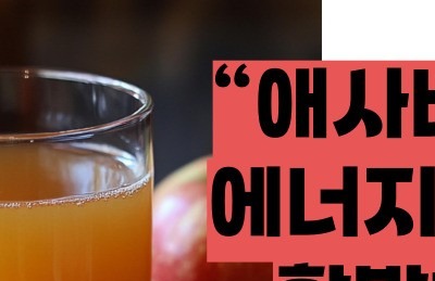 애사비 식초 효능