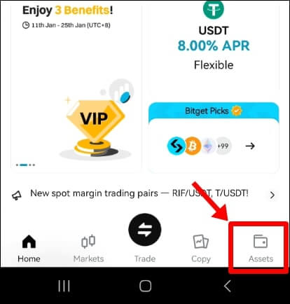 비트겟 하단에 여러가지 탭이있다. 그중 'Assets 탭을 가리킨다.