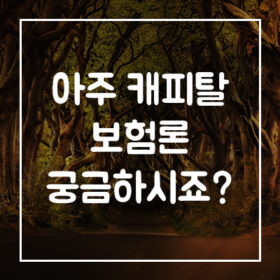 아주캐피탈-보험론