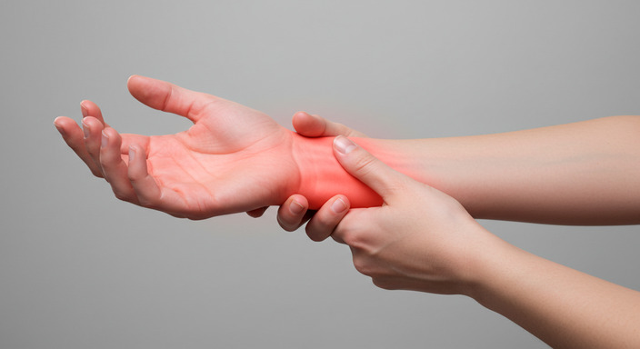 보스웰리아-관절연골