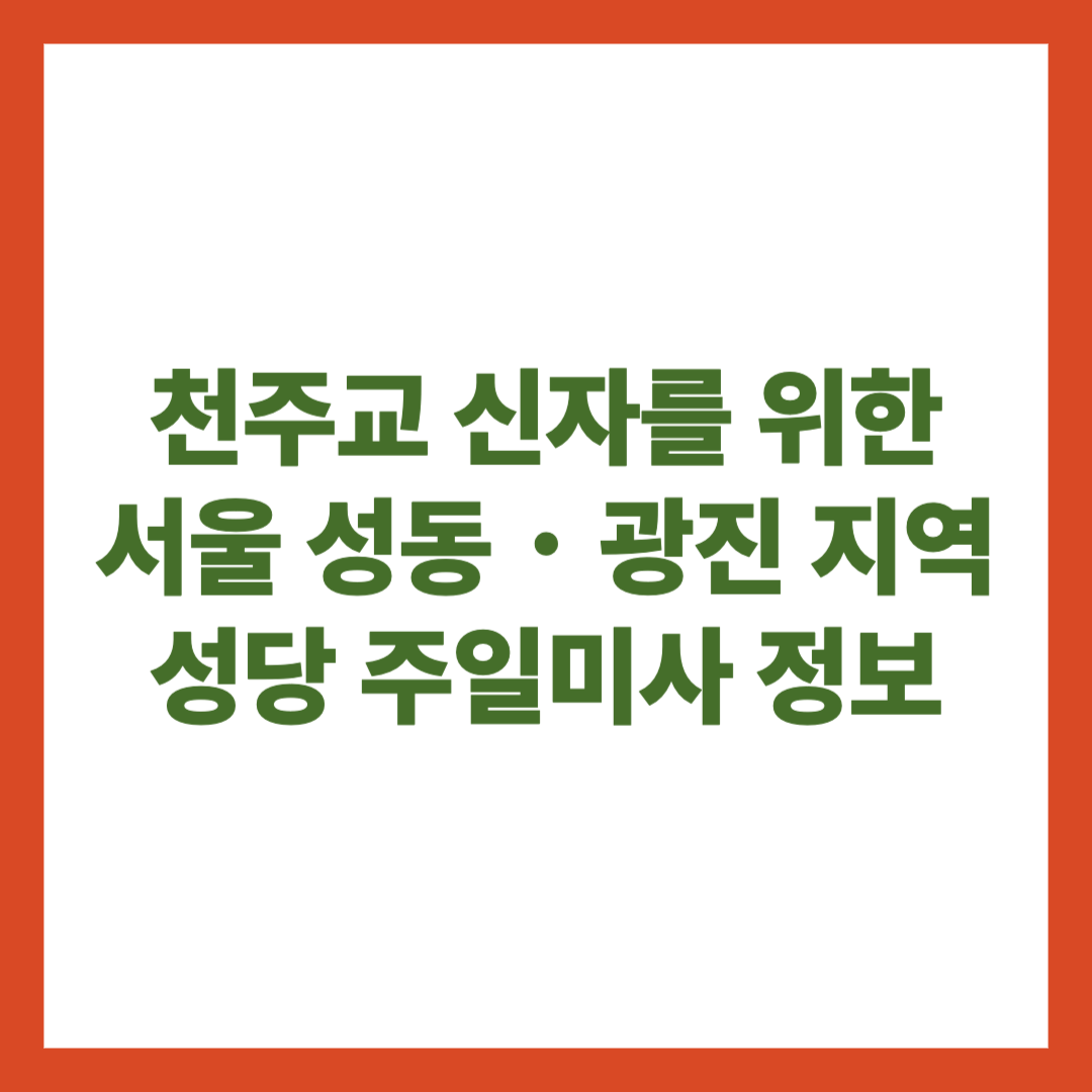 천주교 신자를 위한 서울 성동・광진 지역 성당 주일미사 정보