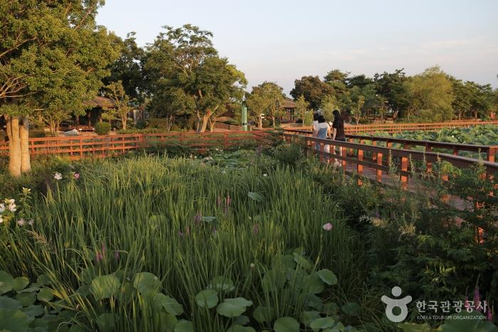 무안 가볼만한곳 베스트10