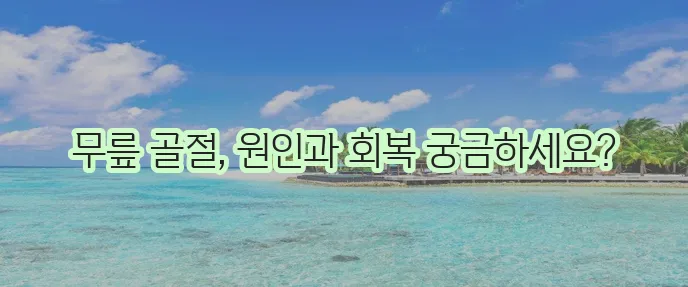 슬개골 골절 원인 증상 수술 치료기간이 중요합니다