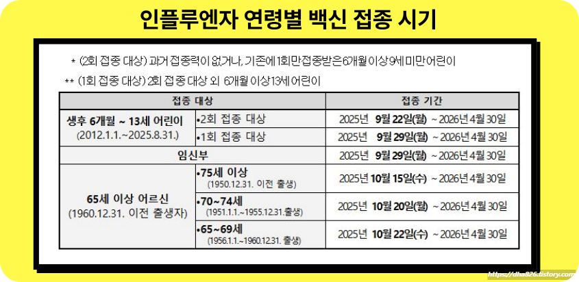 인플루엔자 백신 연령별 접종 시기