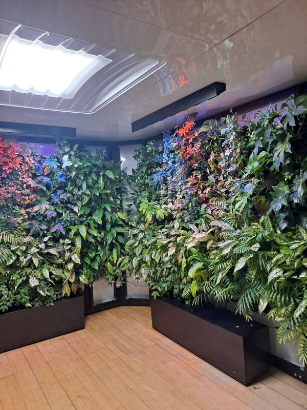 선유도이야기 실내식물