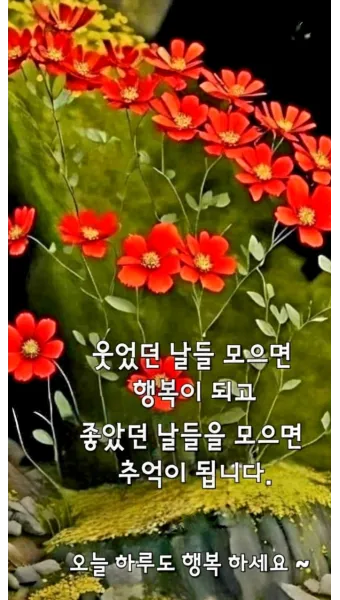 아침 인사말 이미지 모음 밝고 따뜻한 하루 인사 문구 정리_2