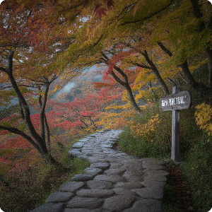 2025년 단풍 절정 시기 – 강원·경상 단풍 명소 가상 이미지