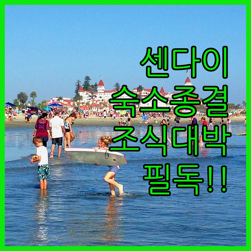 일본 센다이 숙소 예약 팁과 호텔별 ..