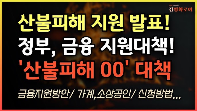 📝 산불 피해와 정부 지원에 대한 개요
