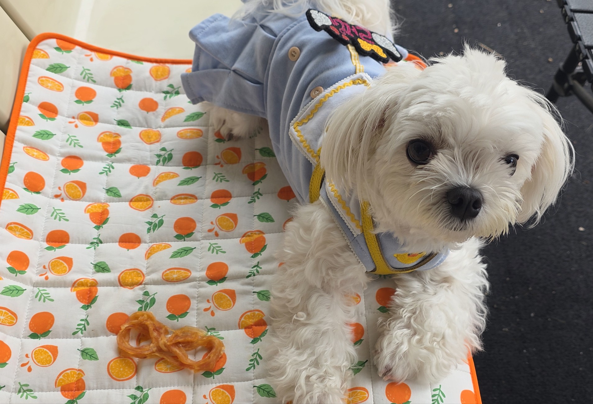 카페에서 라떼 모습