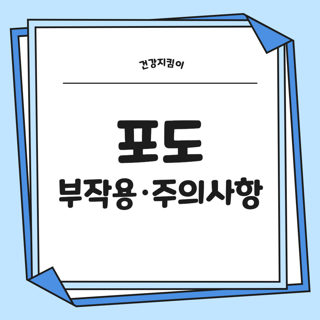 포도 효능 부작용