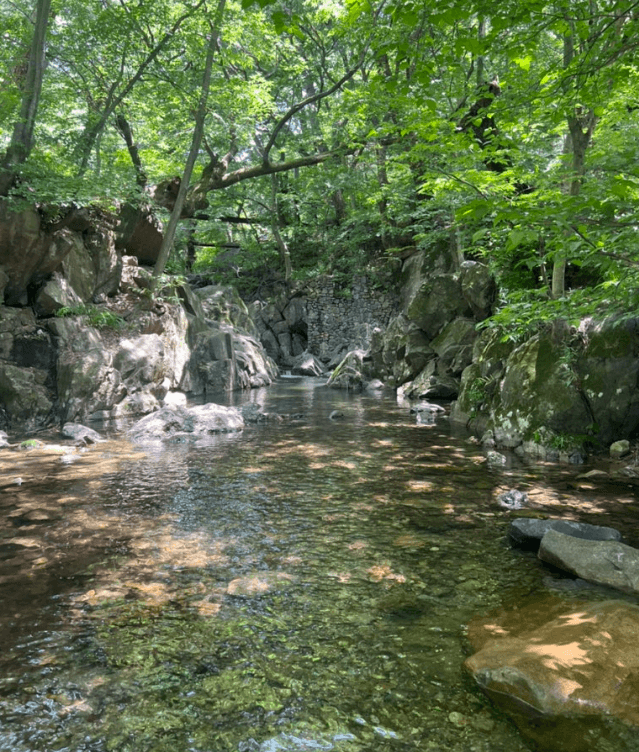 아산-강당골계곡
