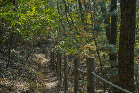 [명품숲길 50선 가을단풍 산행 ③] 청년 김대건길 : 역사와 단풍이 만나는 용인의 순례숲