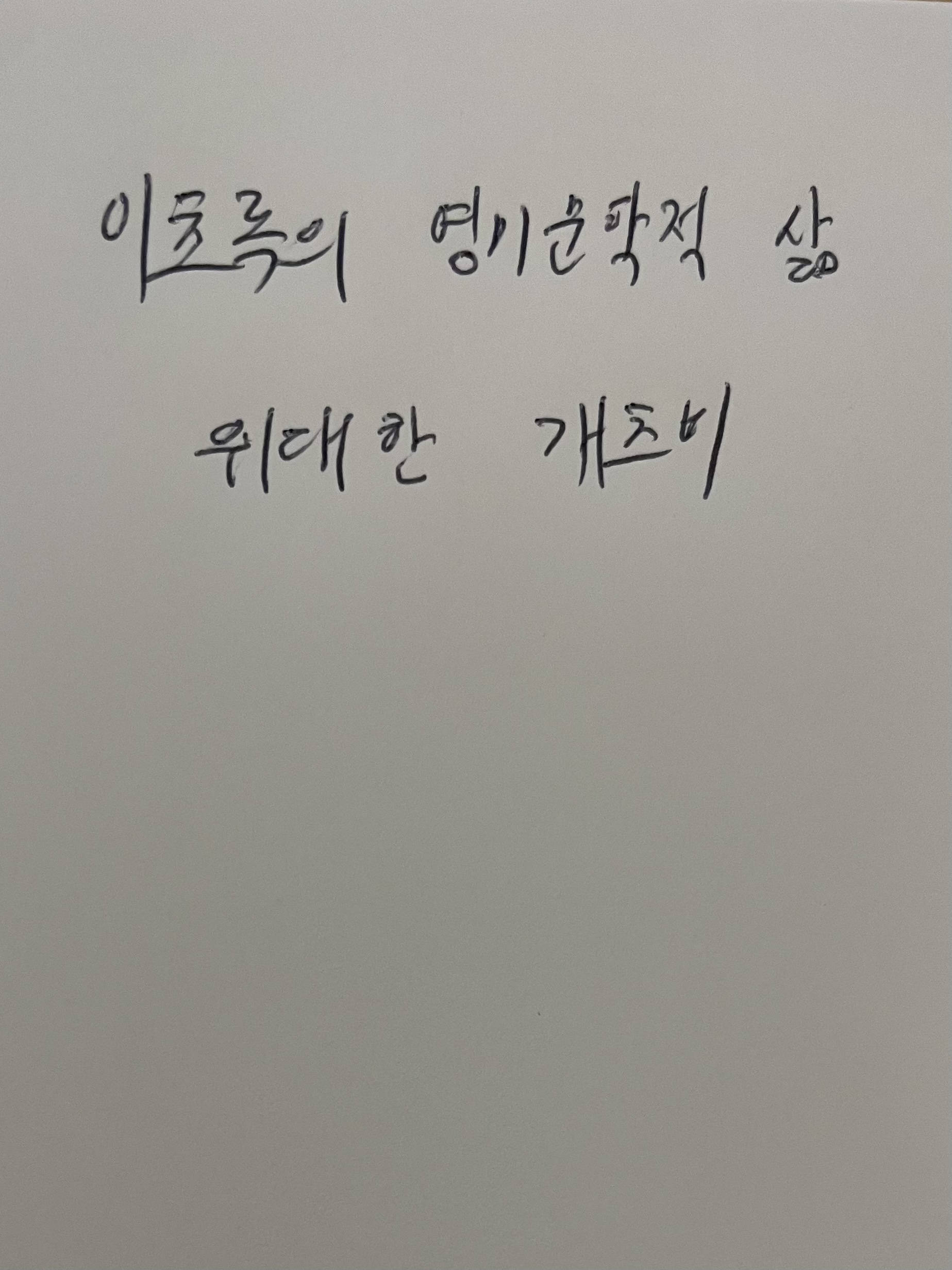 이초록의 영미문학적 삶 - 위대한 개츠비 비평 손글씨 메모 사진