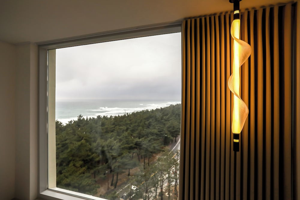 강릉 하운드 더 블루 호텔｜오션뷰&middot;넷플릭스&middot;카페까지&amp;#44; 할인 혜택으로 가성비 숙소 예약하기!