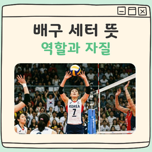 배구 세터 뜻 역할 자질