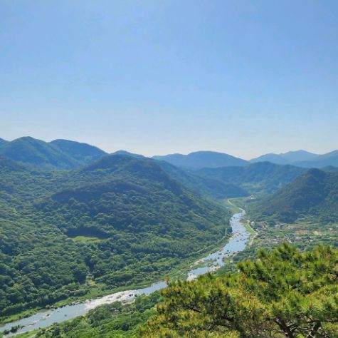 용궐산치유의숲