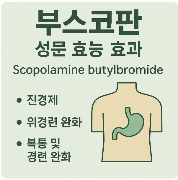 부스코판 효능 사진
