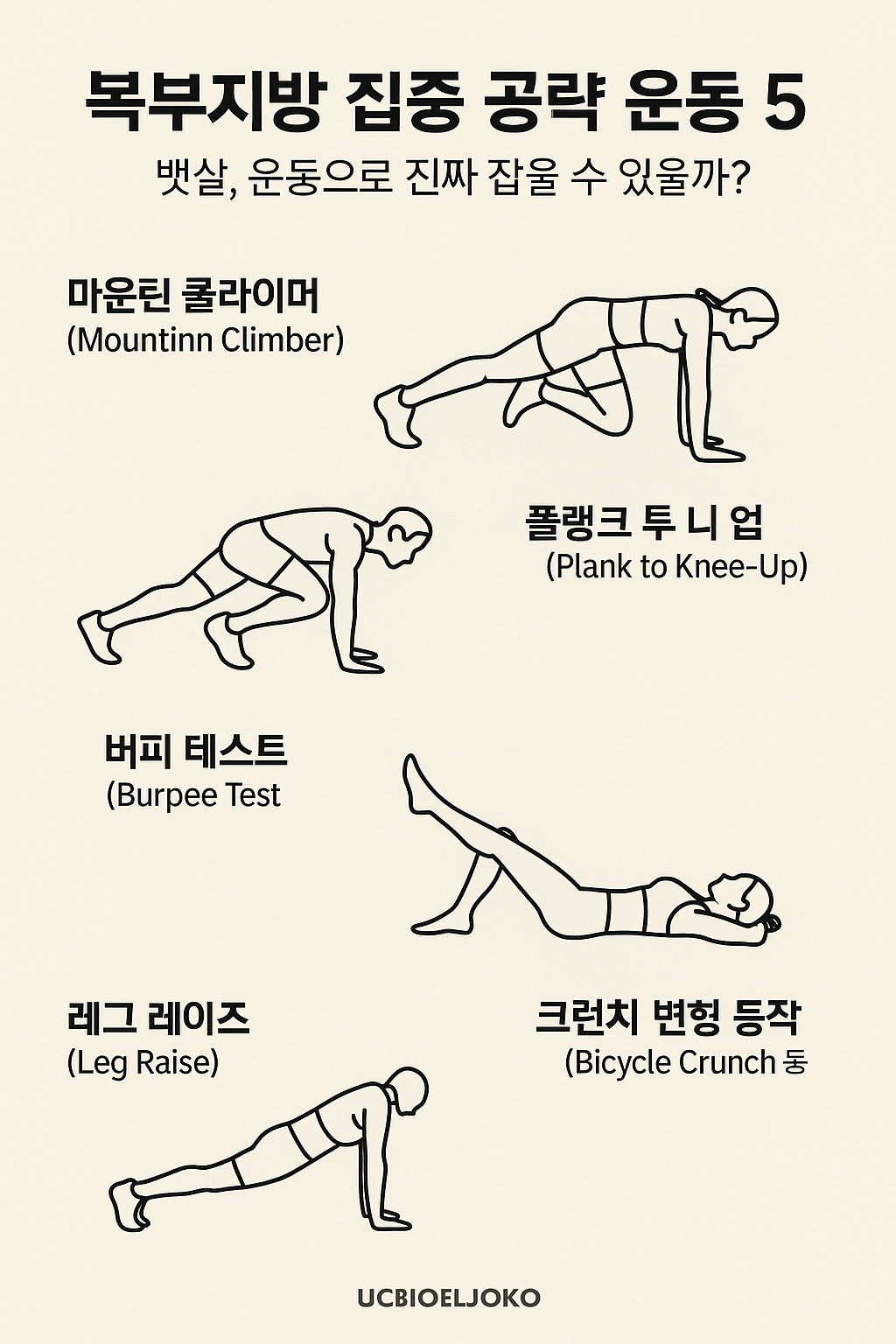 복부지방 집중 공략 운동 BEST 5